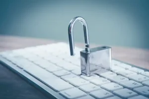 The Hidden Danger of Premium Cracked Blogger Templates: Why “Free” Costs You Everything